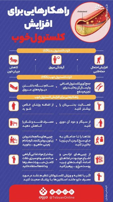 راهکارهایی برای افزایش کلسترول خوب