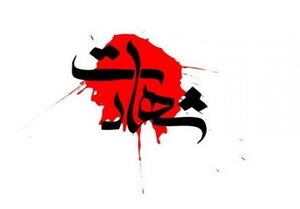 شهادت ۲ نیروی یگان تکاوری پلیس/ ضربه سنگین به کاروان قاچاقچیان در کویر کرمان