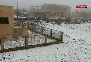 عکس/ بارش برف در سوریه
