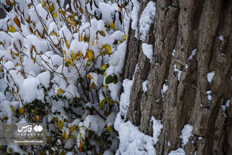 برف زمستانه اردبیل
