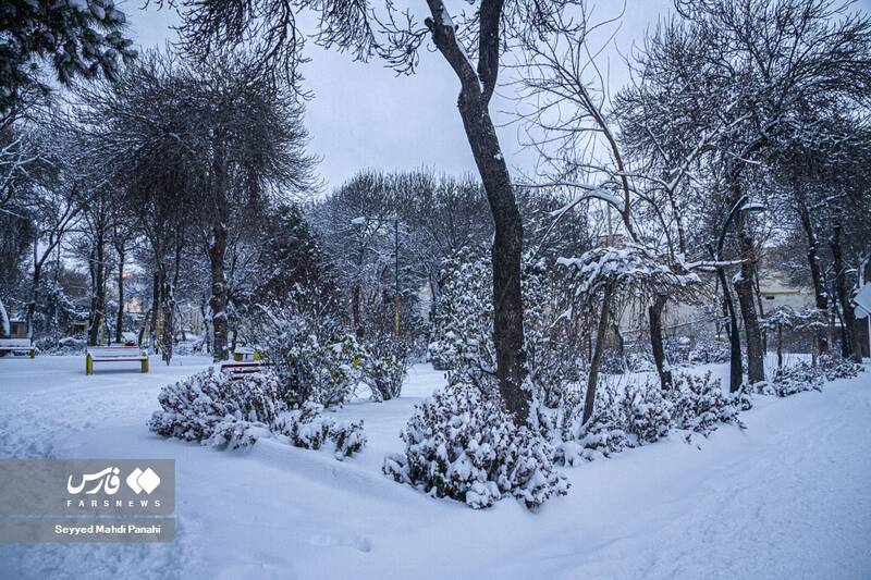 برف زمستانه اردبیل / پارک ملت