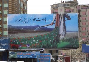خیابان‌های کابل مزین شده با اشعار فارسی + فیلم و عکس