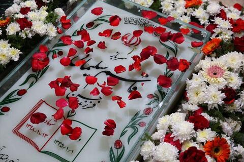 كيلوگرم،كشتي،بالي،عليزاده،فرنگي،رسول