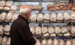 قیمت مرغ در خردهفروشیها کاهش یافت