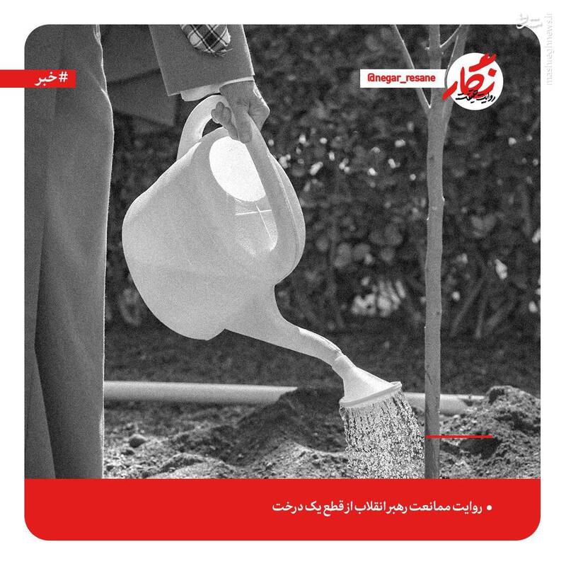 روایت ممانعت رهبر انقلاب از قطع یک درخت