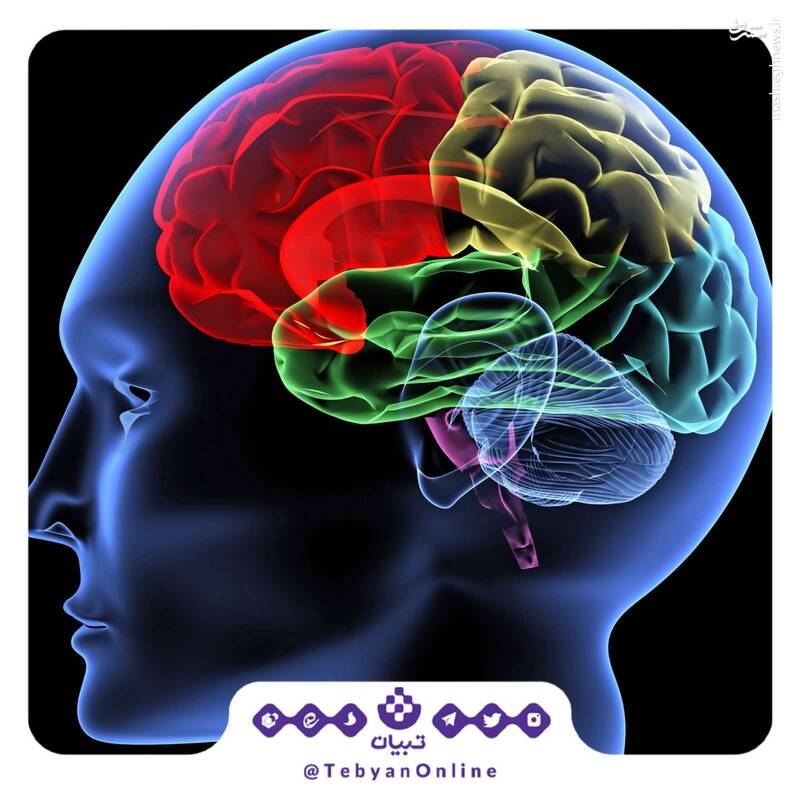 اگر به فکر ضریب هوشی خودتون هستید این کارها رو انجام ندید