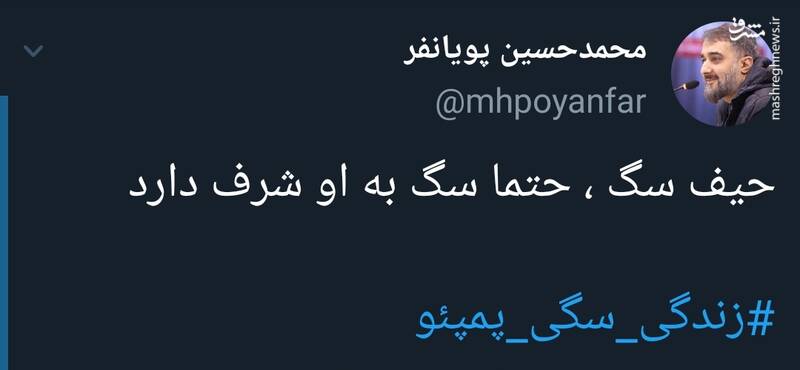 #زندگی_سگی_پمپئو سوژه توییتریها شد