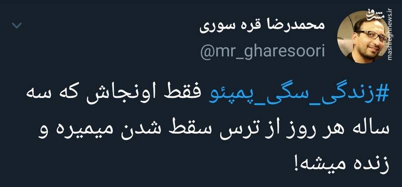 #زندگی_سگی_پمپئو سوژه توییتریها شد