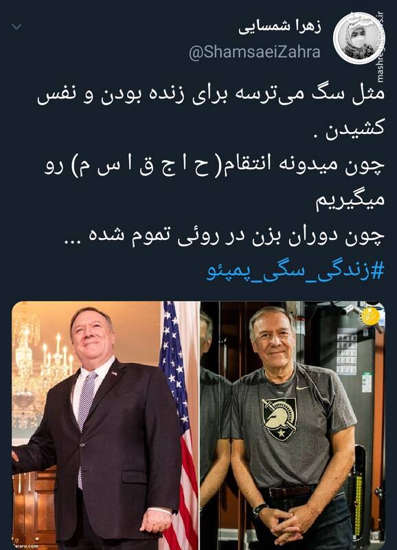 #زندگی_سگی_پمپئو سوژه توییتریها شد