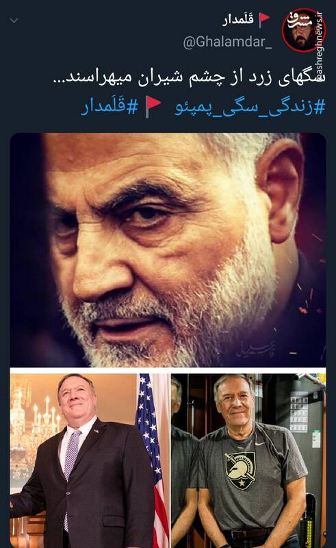 #زندگی_سگی_پمپئو سوژه توییتریها شد