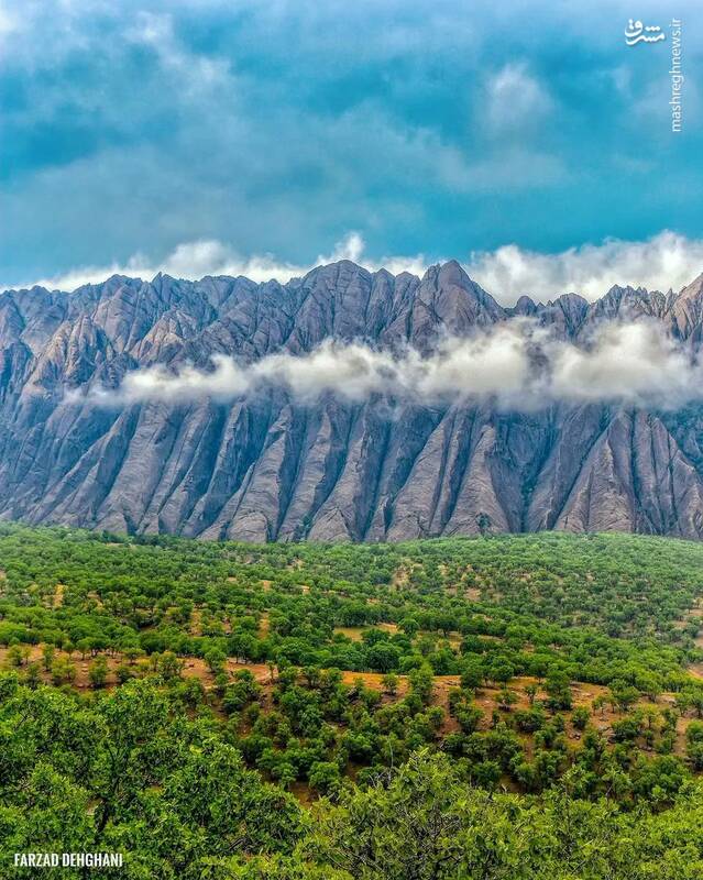 دفاع مقدس در جنگ رسانهای +عکس