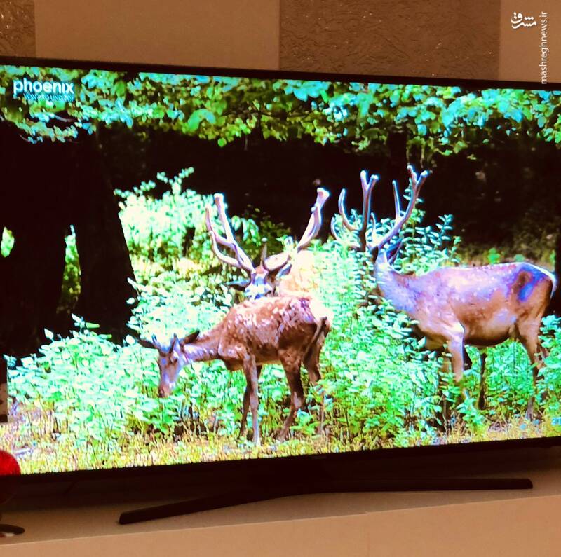 کشوری که میتوان بهشت را در آن جا دید+عکس