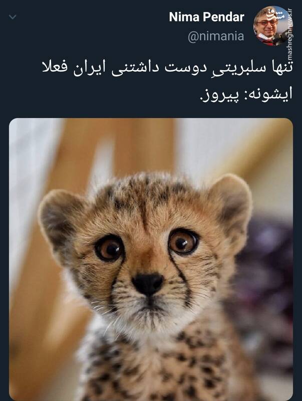 تنها سلبریتیِ دوست داشتنی ایران+عکس