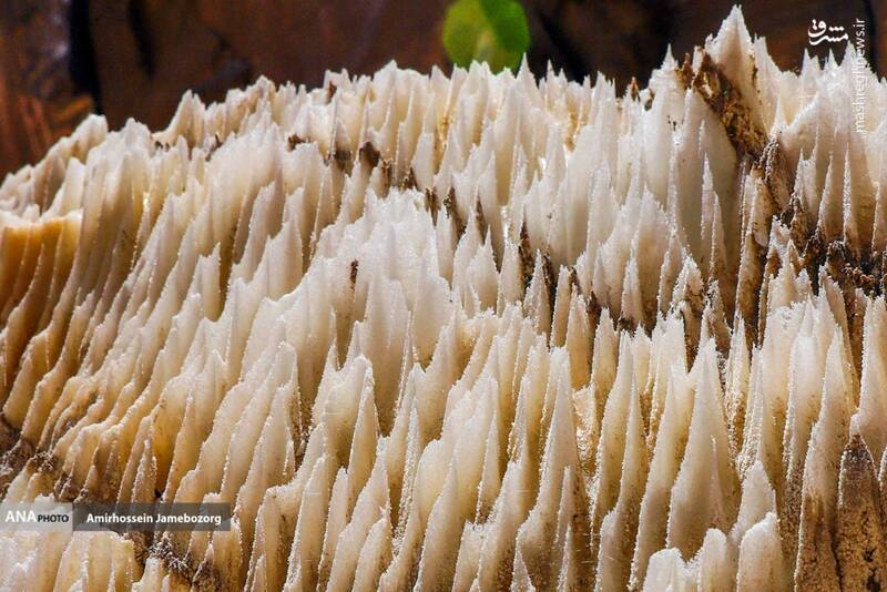 عکس/ تونل نمکی گرمسار