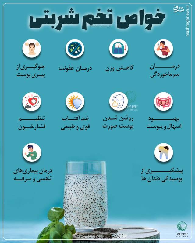 از خواص تخم شربتی چه میدانیم؟ - مشرق نیوز