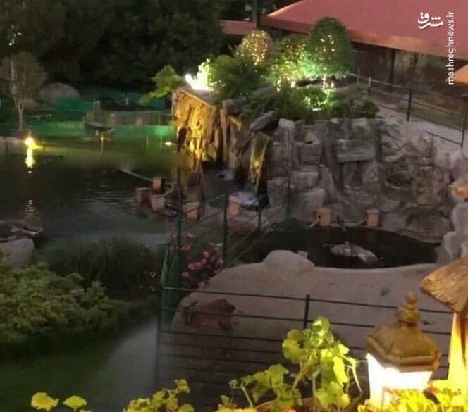 «حسن رعیت»؛ از تاجری خردهپا تا همکاری با استاد اعظم شبکه بانکی/ سرنوشت یک پدرخوانده دو تابعیتی در زندان اوین+ تصاویر