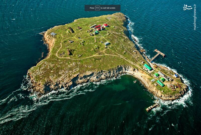 میهمانی ویژه توپخانه روسیه برای هویتزرهای امریکایی/ دلیل اصرار مسکو بر ادامه حضور در جزیره مار چیست؟ +نقشه و تصاویر