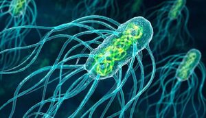 دانشمندان یک باکتری را با مهندسی ژنتیک در برابر همه ویروسها مقاوم کردند