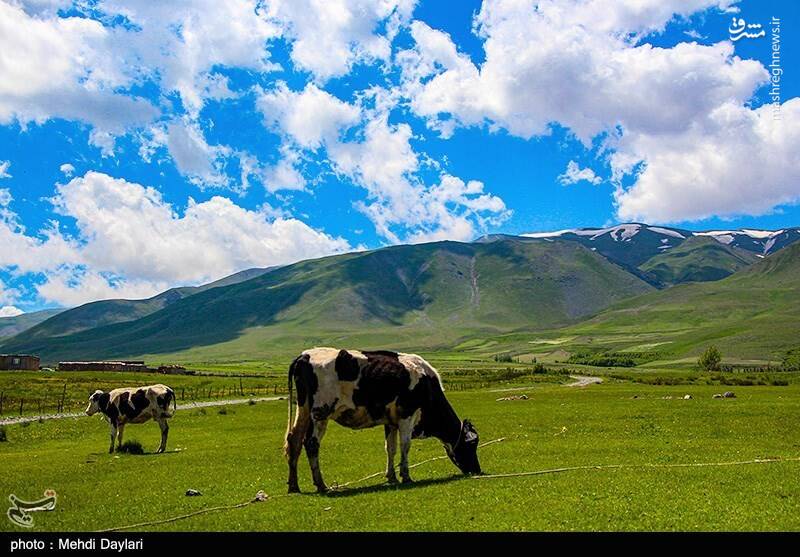 عکس/ ارسباران در کجا قرار دارد؟