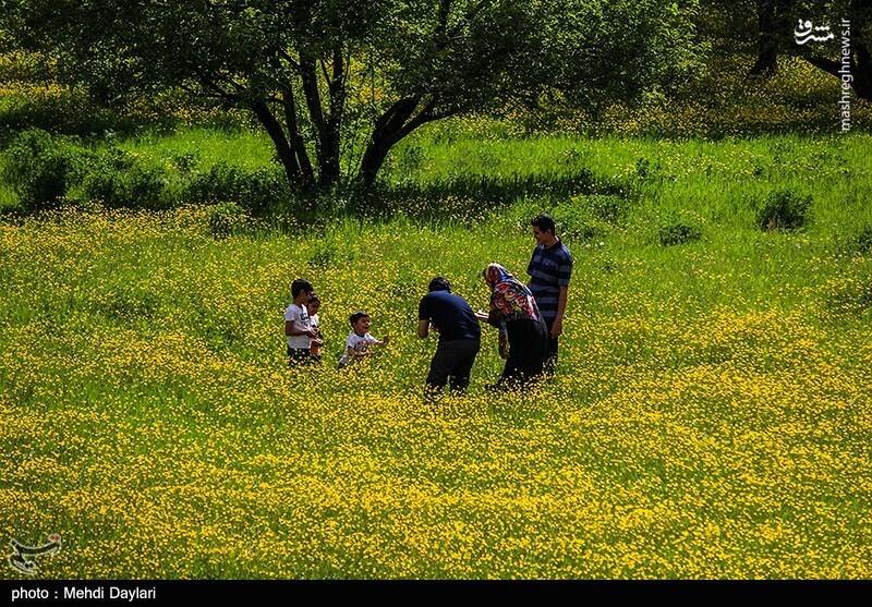 عکس/ ارسباران در کجا قرار دارد؟