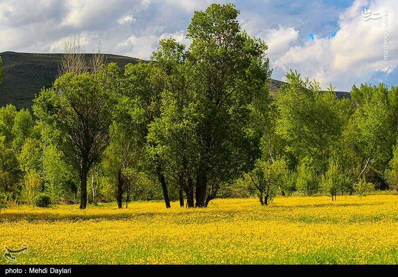 عکس/ ارسباران در کجا قرار دارد؟