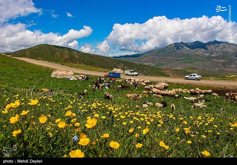 عکس/ ارسباران در کجا قرار دارد؟