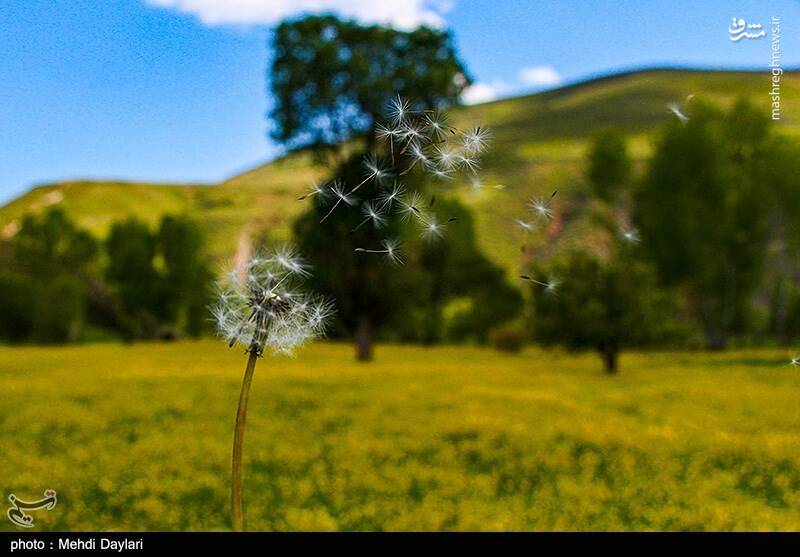 عکس/ ارسباران در کجا قرار دارد؟