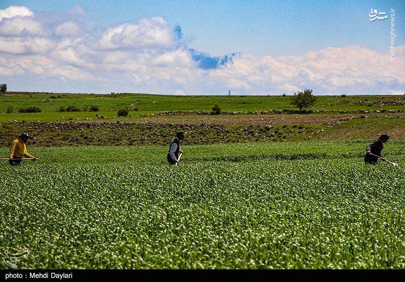 عکس/ ارسباران در کجا قرار دارد؟