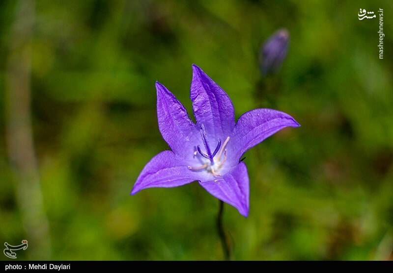 عکس/ ارسباران در کجا قرار دارد؟