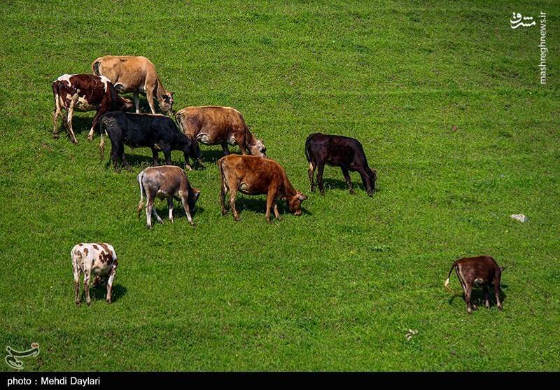 عکس/ ارسباران در کجا قرار دارد؟
