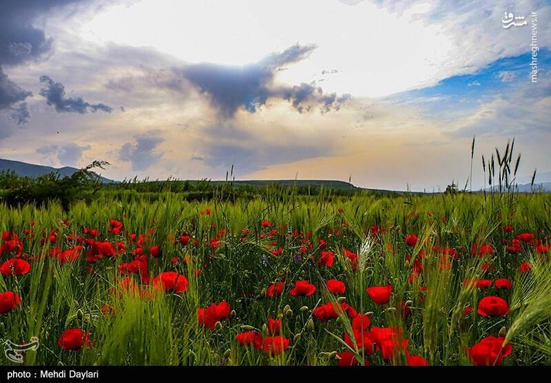 عکس/ ارسباران در کجا قرار دارد؟
