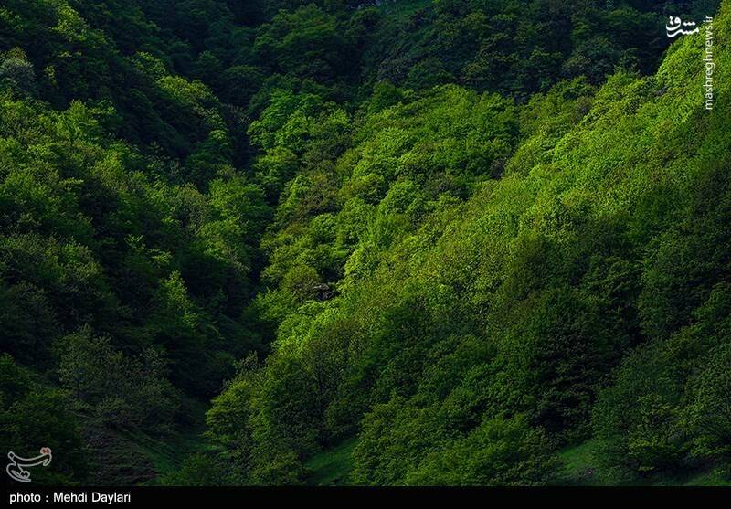 عکس/ ارسباران در کجا قرار دارد؟