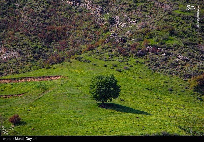 عکس/ ارسباران در کجا قرار دارد؟