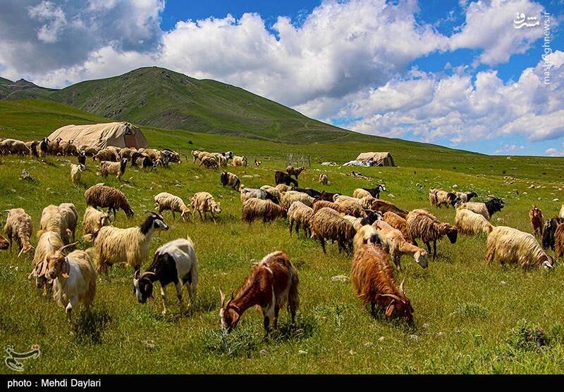 عکس/ ارسباران در کجا قرار دارد؟