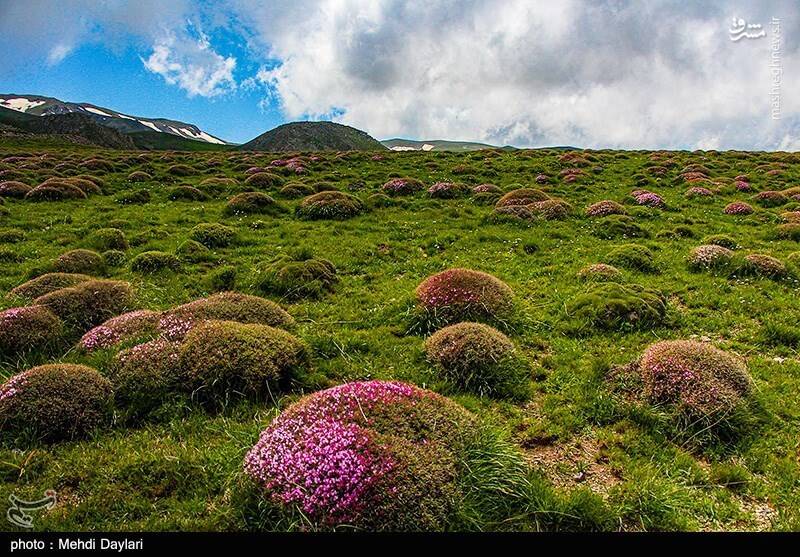عکس/ ارسباران در کجا قرار دارد؟