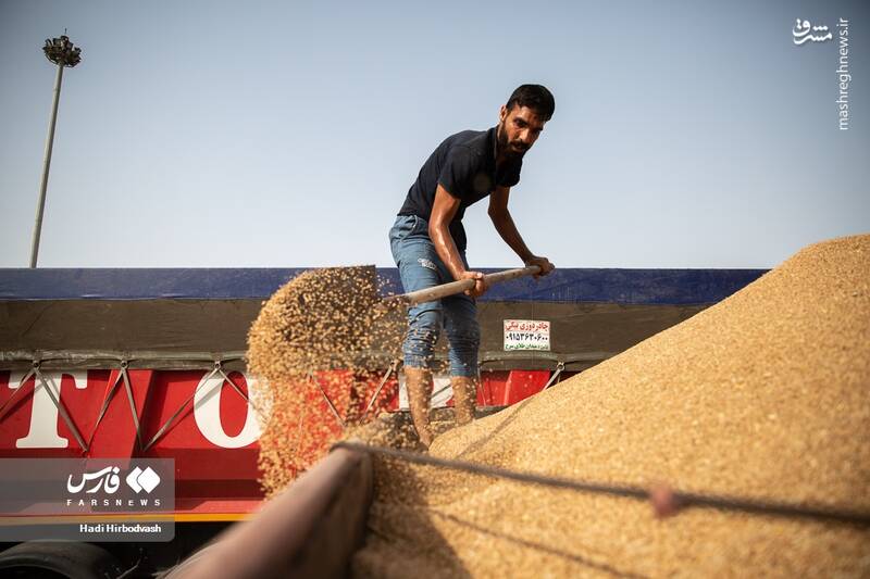 عکس/ بندر شهید بهشتی چابهار