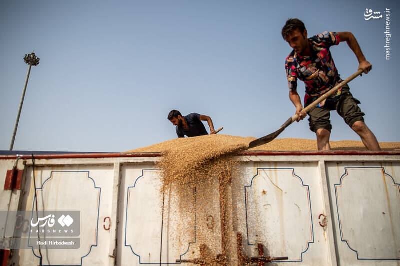 عکس/ بندر شهید بهشتی چابهار