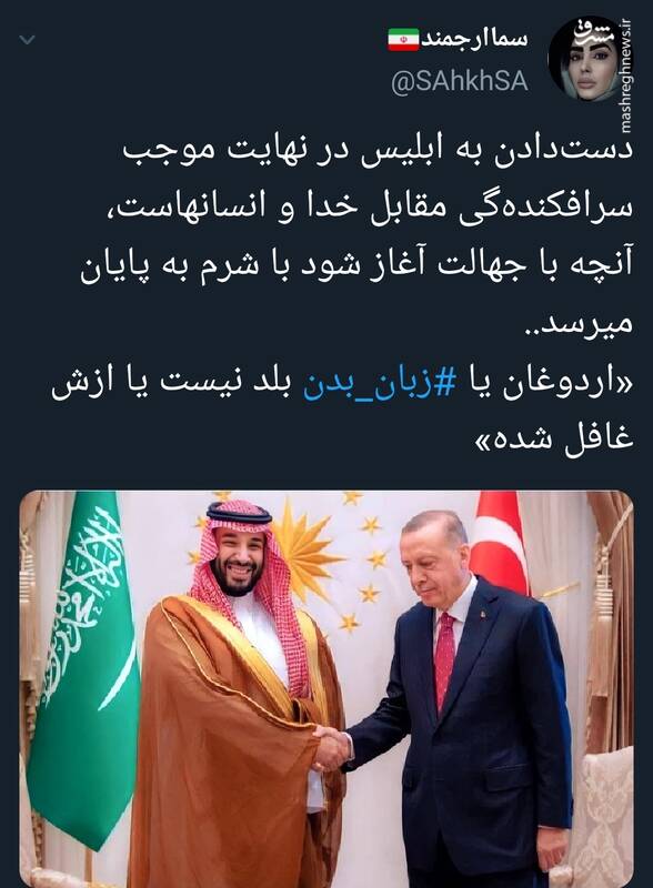 اردوغان یا زبان بدن بلد نیست یا ازش غافل شده +عکس