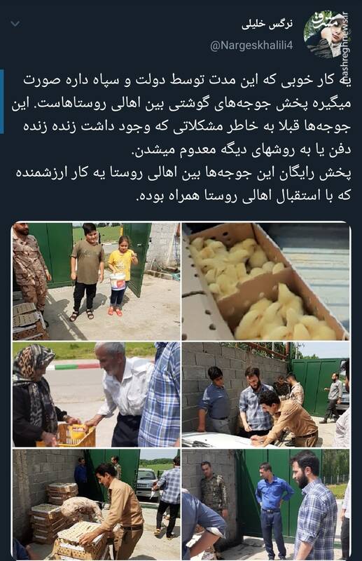 کار خوب دولت و سپاه برای جوجهها