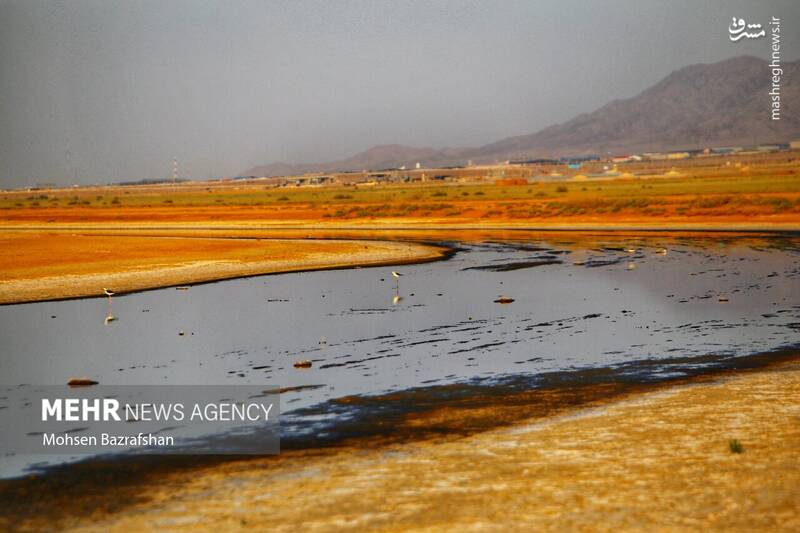 عکس/ طبیعت رودخانه شور