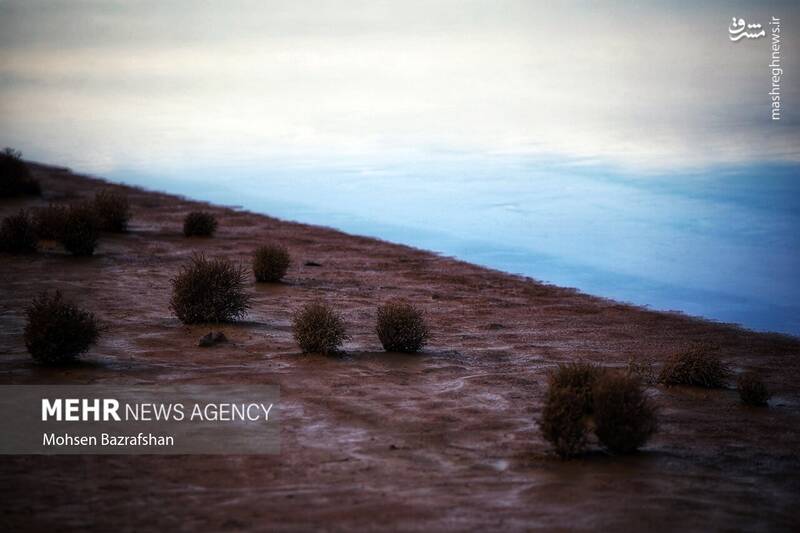 عکس/ طبیعت رودخانه شور