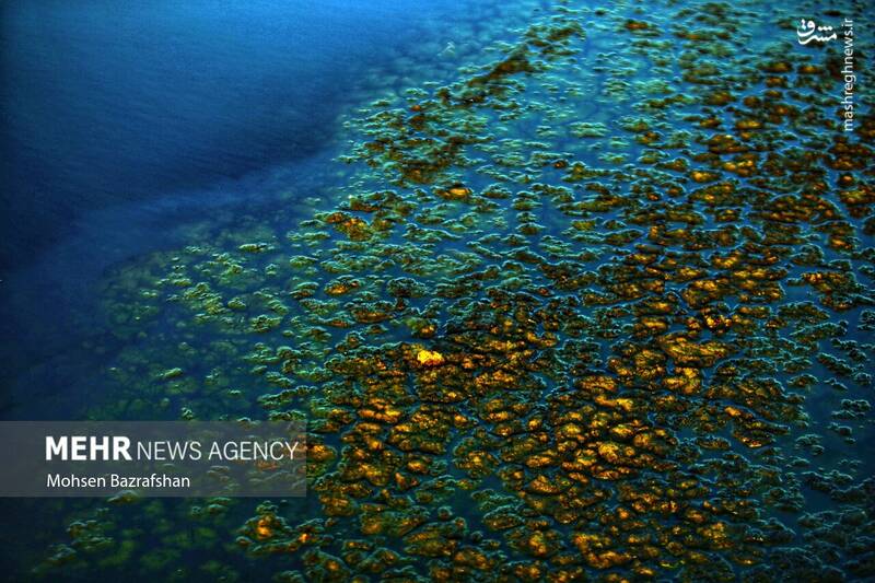 عکس/ طبیعت رودخانه شور