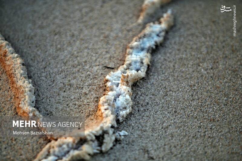 عکس/ طبیعت رودخانه شور