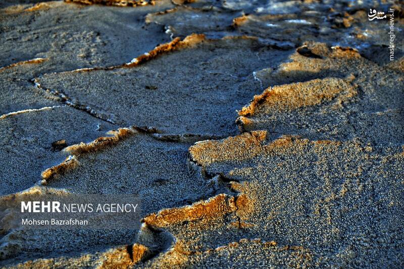 عکس/ طبیعت رودخانه شور
