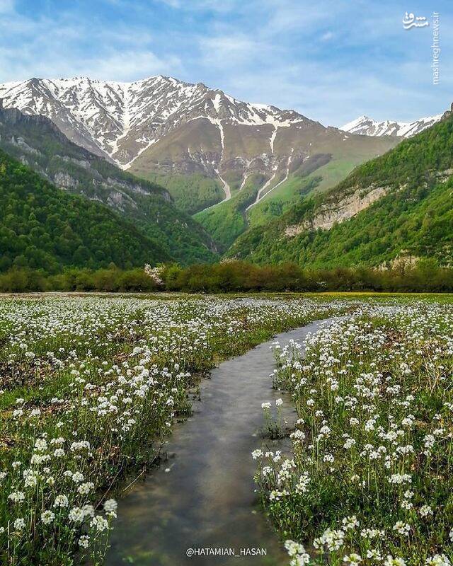 عکس/ طبیعت بکر شهسوار