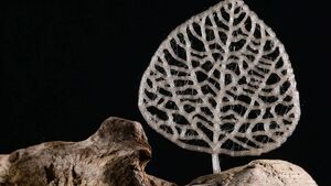 پلاستیکی که به قند تبدیل میشود