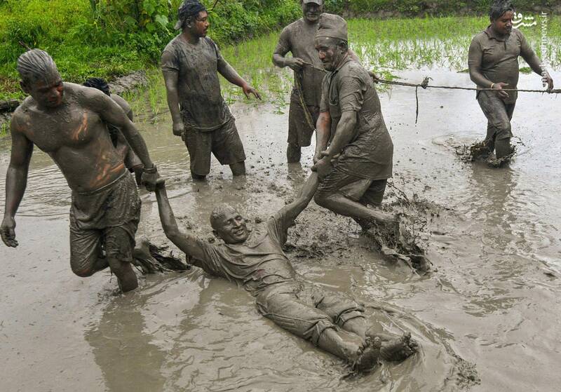 عکس/ جشن متفاوت شالیکاران نپالی