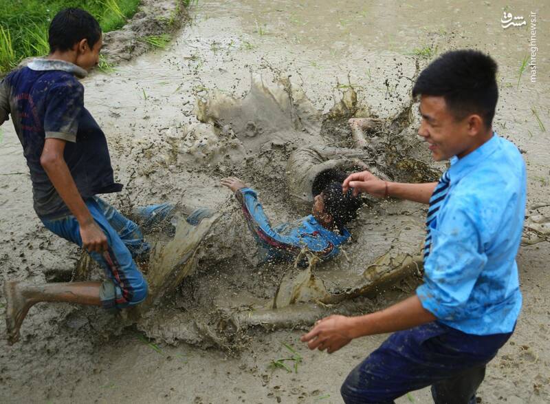 عکس/ جشن متفاوت شالیکاران نپالی