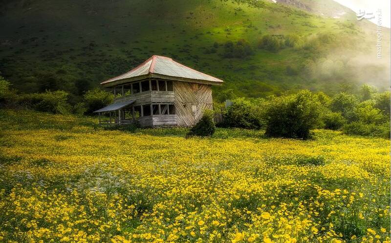 عکس/ ارتفاعات بهاری تنکابن