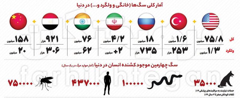 سگهای بچه کش! / ولگردهایی که طعمههایشان کودکان هستند